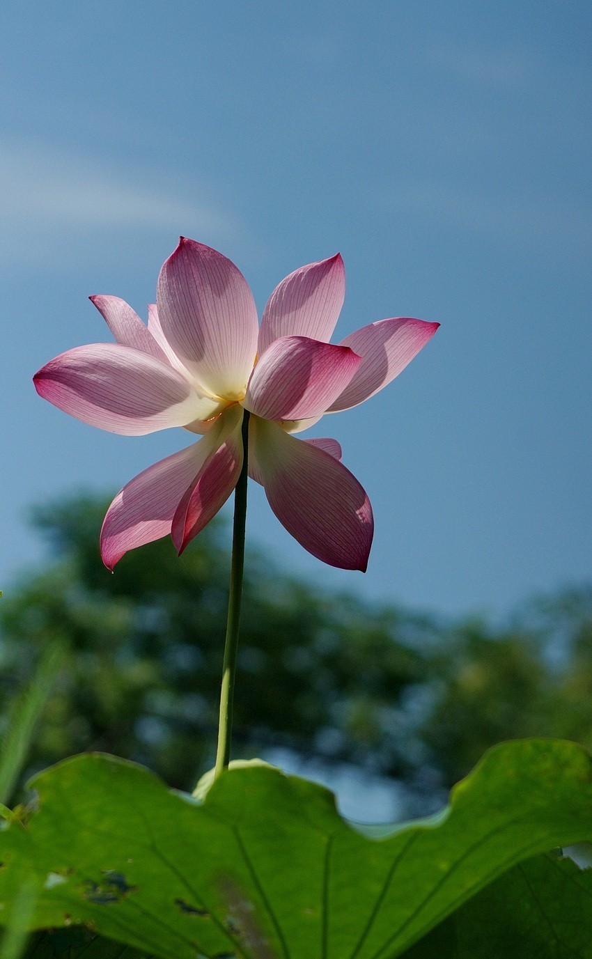 #版主坐堂# 尼康D5100星空(中国)2023年7月份优秀作品精选汇总