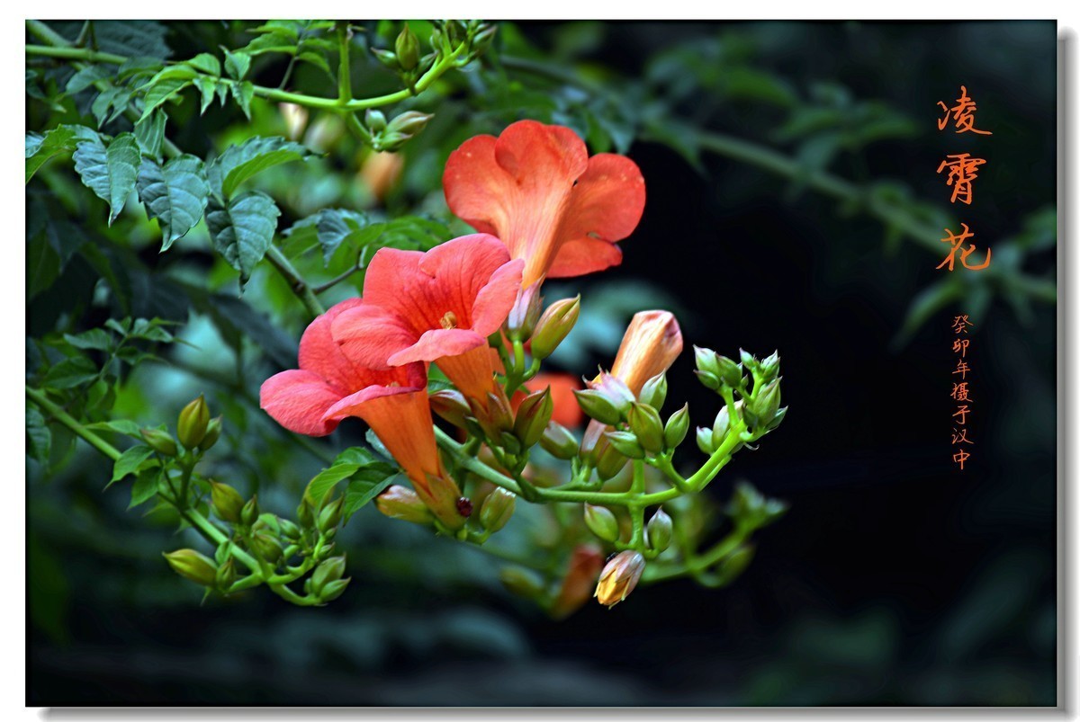 #版主坐堂# 尼康D5100星空(中国)2023年7月份优秀作品精选汇总