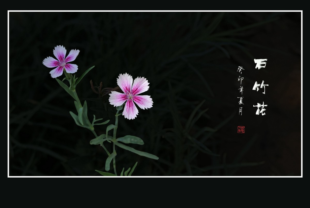 #版主坐堂# 尼康D5100星空(中国)2023年7月份优秀作品精选汇总