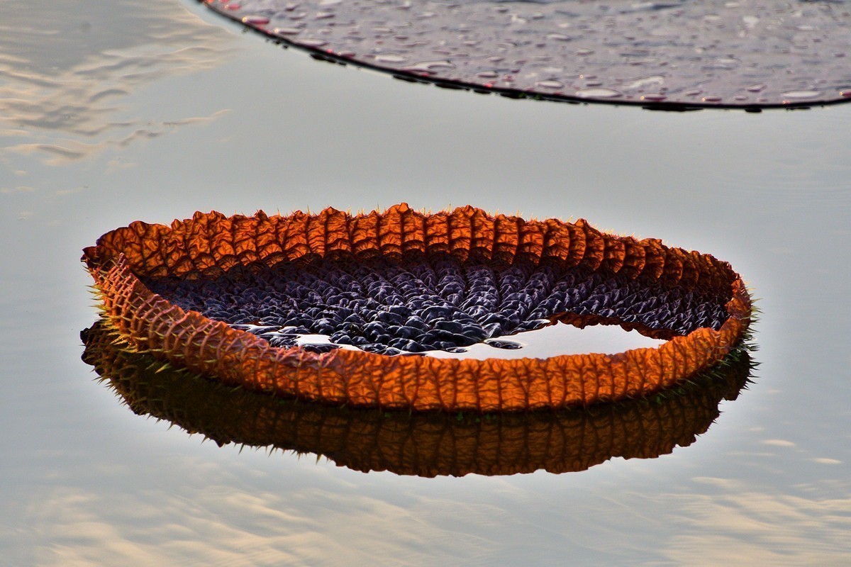 #版主坐堂# 尼康D5100星空(中国)2023年7月份优秀作品精选汇总