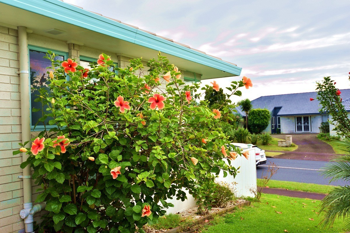 新 西兰奥克兰东区部分街道与民宅  2/2