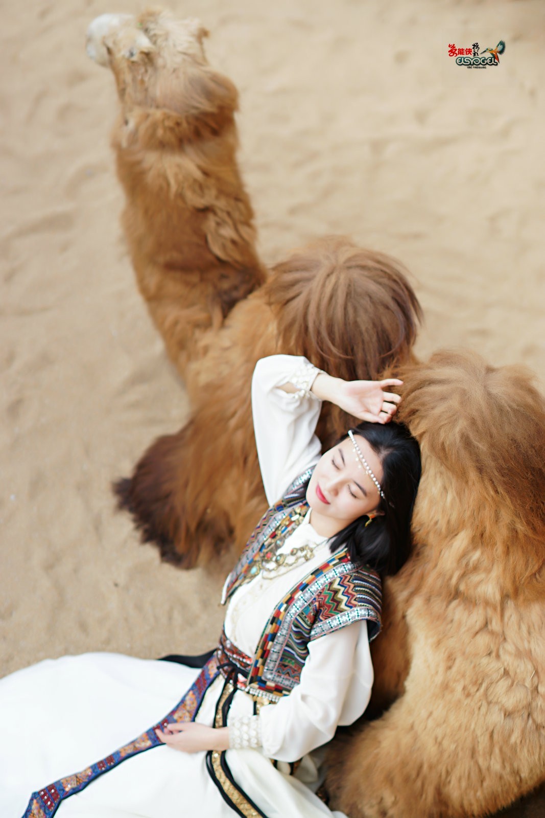 【骆驼女郎】---沛阳