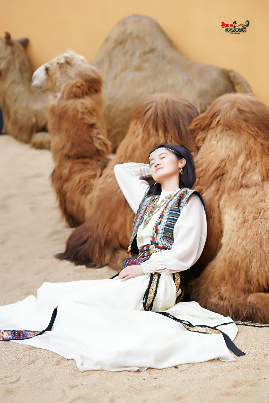 【骆驼女郎】---沛阳