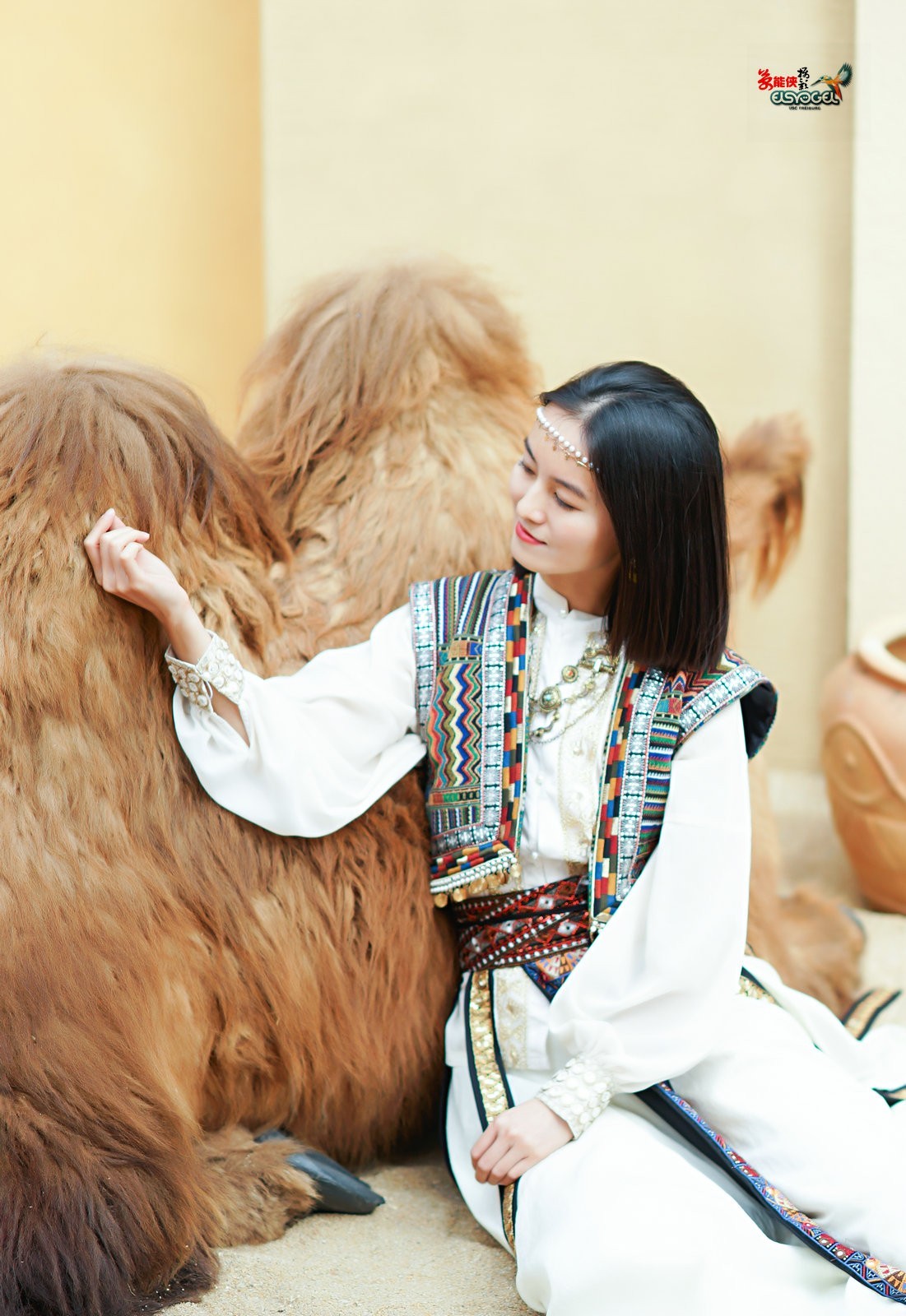 【骆驼女郎】---沛阳