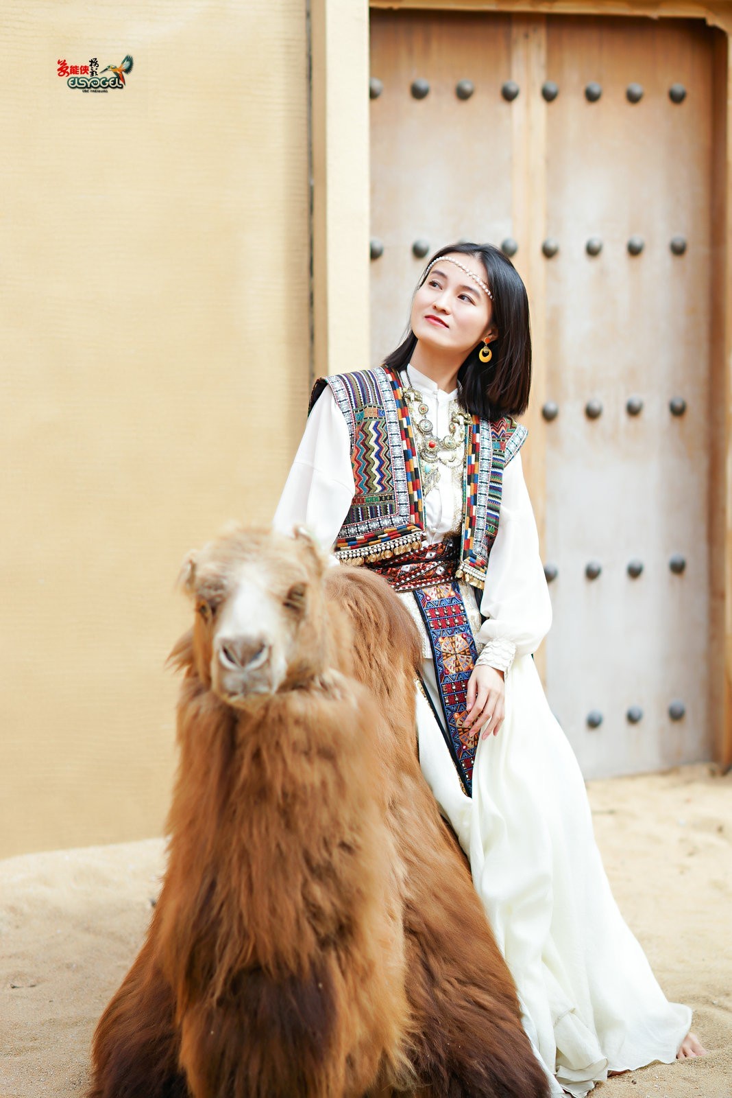 【骆驼女郎】---沛阳