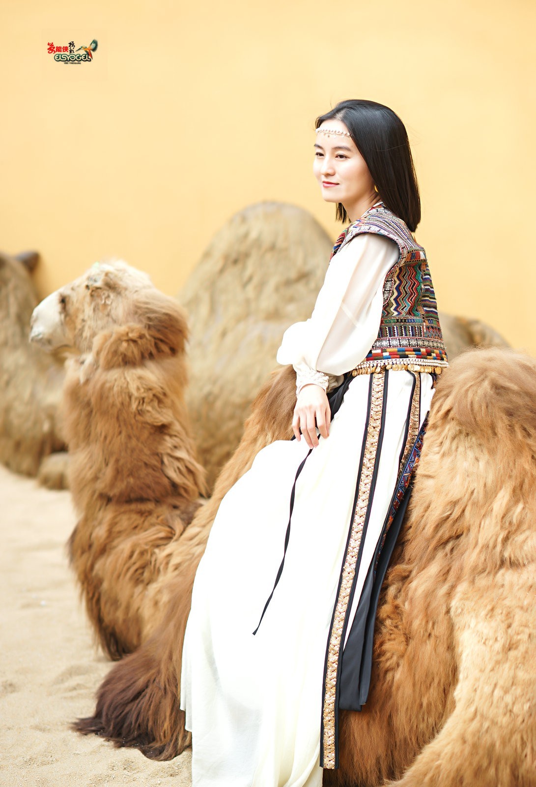 【骆驼女郎】---沛阳