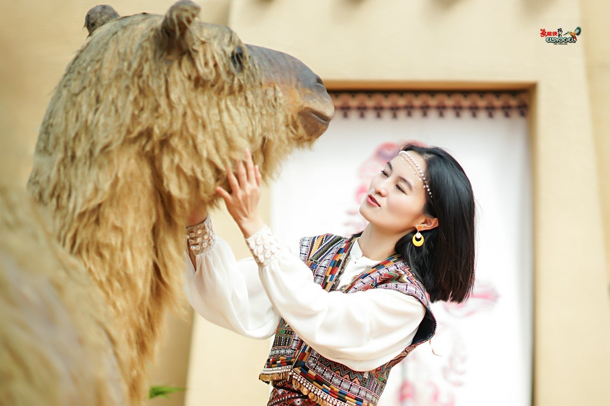 【骆驼女郎】---沛阳