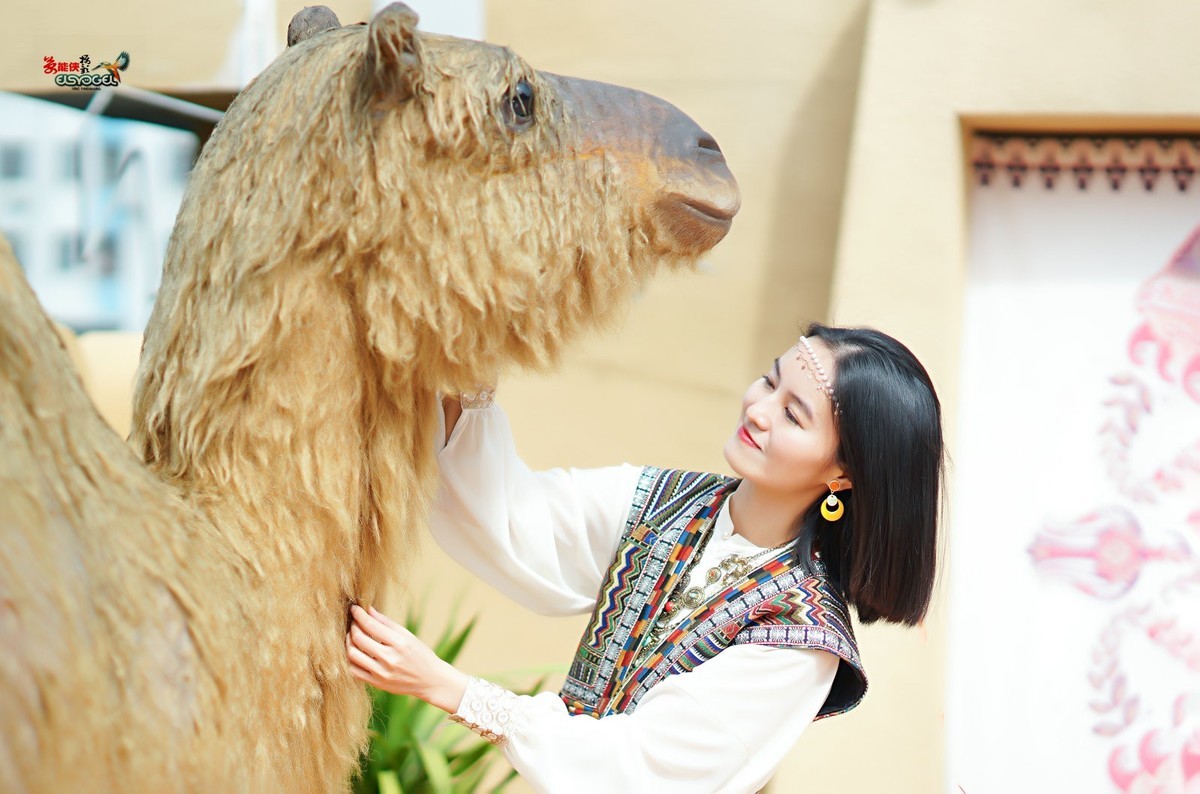 【骆驼女郎】---沛阳