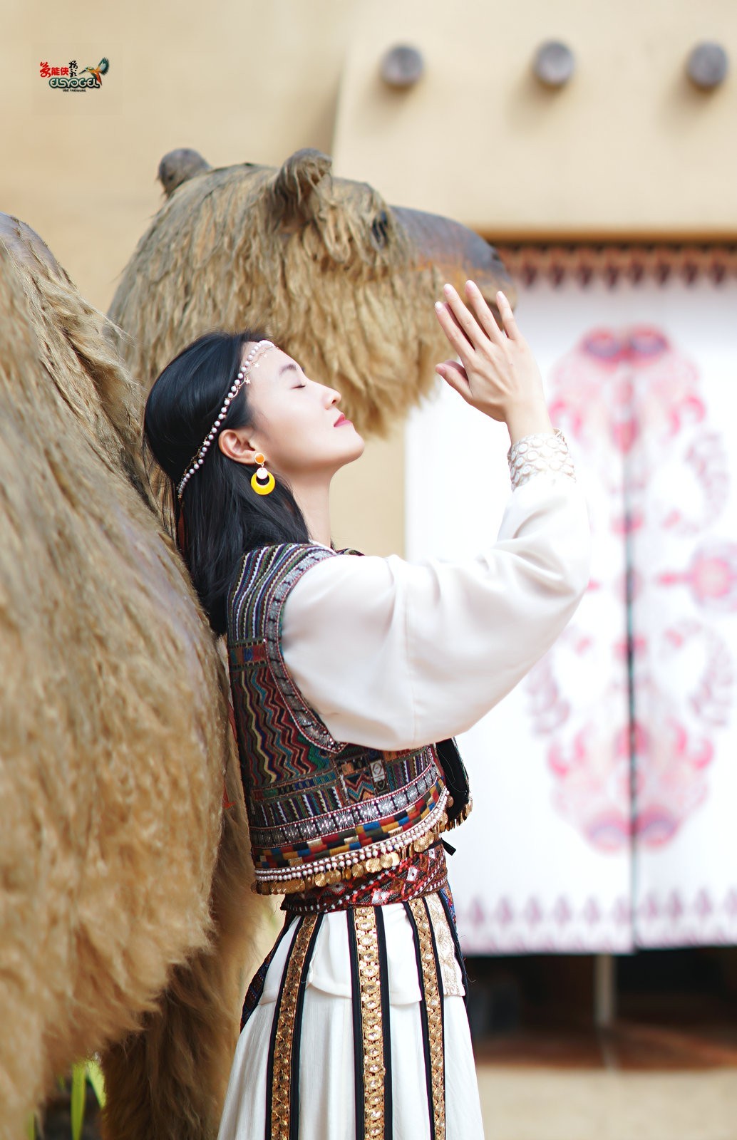 【骆驼女郎】---沛阳