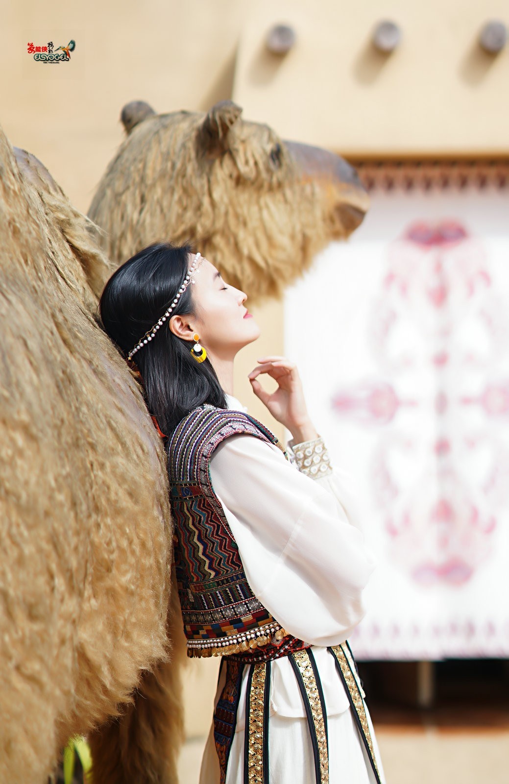 【骆驼女郎】---沛阳