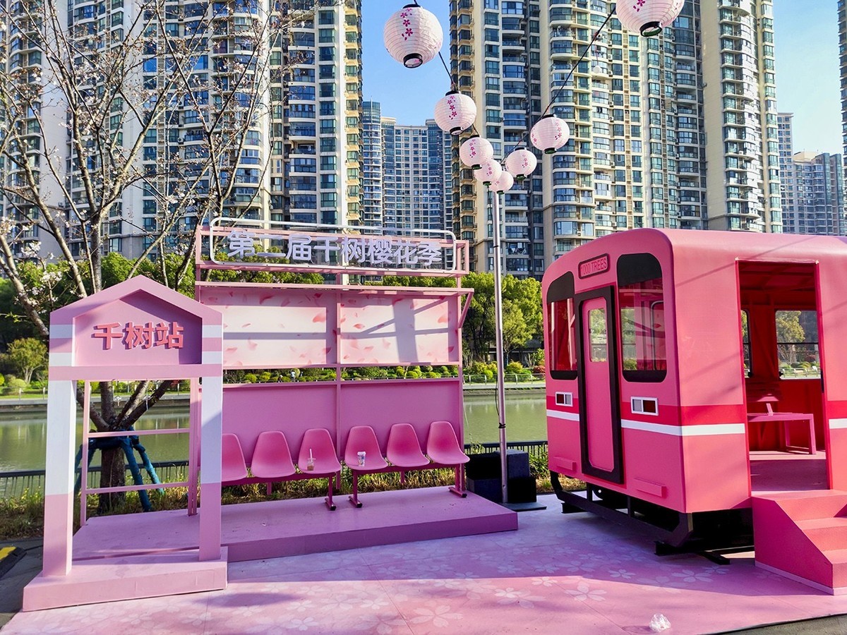 大洋经典苏河湾的樱花