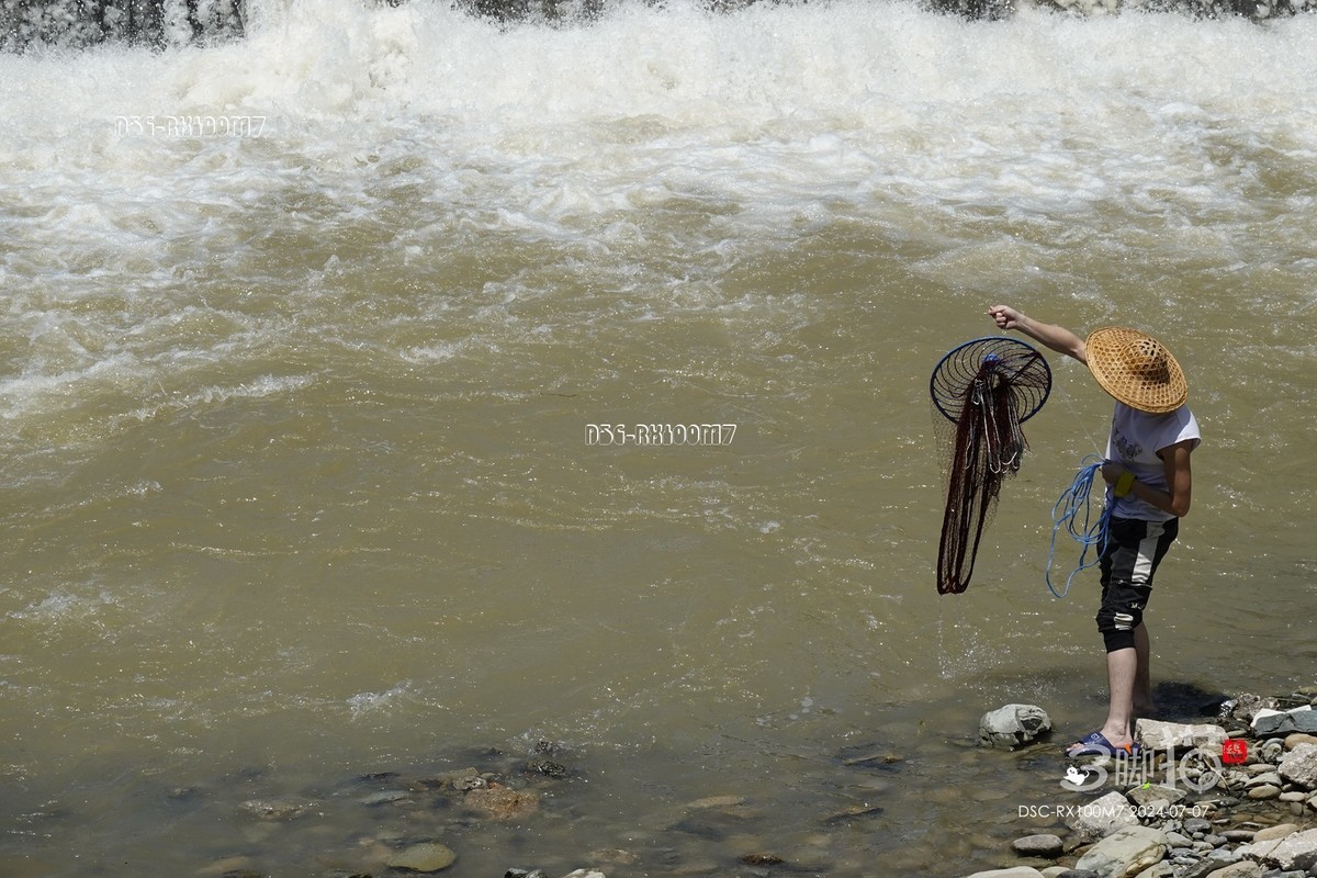 黑卡100M7随手拍