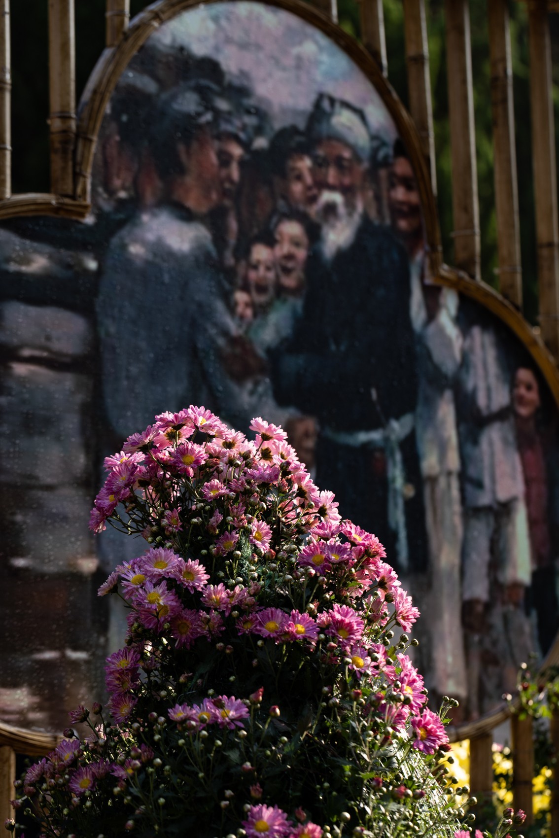 黄花文化节（11）