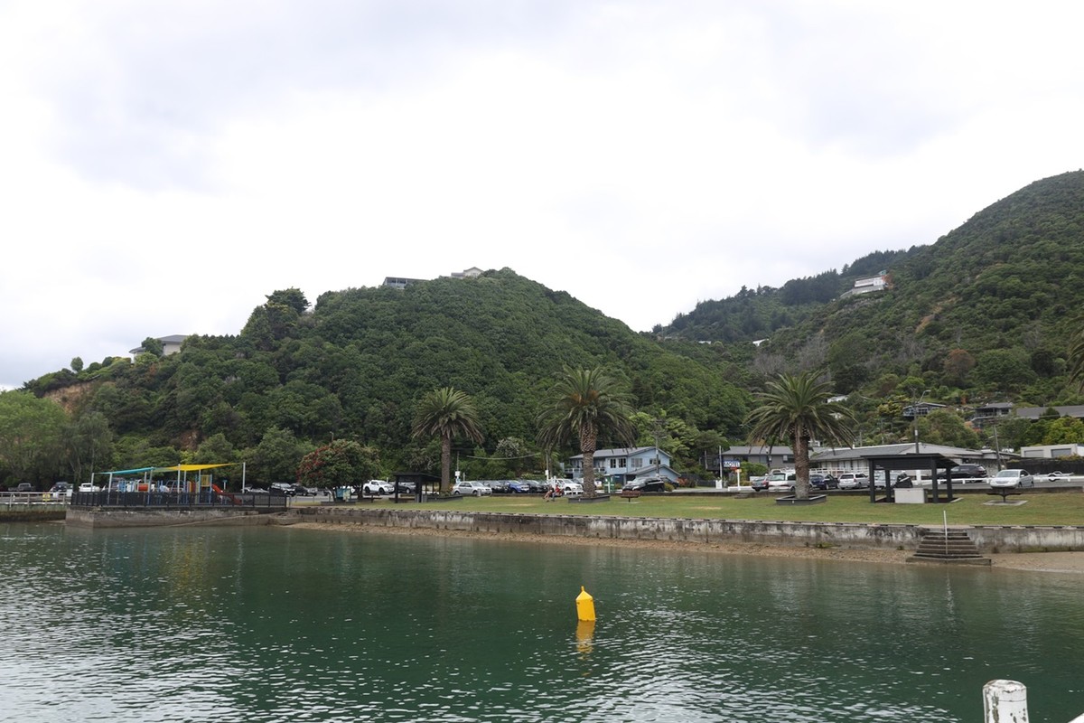 马尔堡峡湾游拍