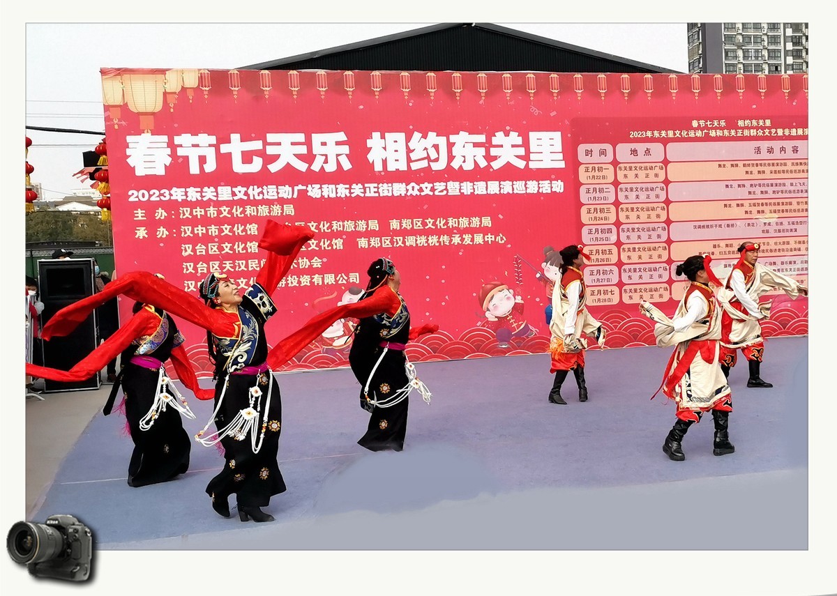 春节七天乐（2023031）