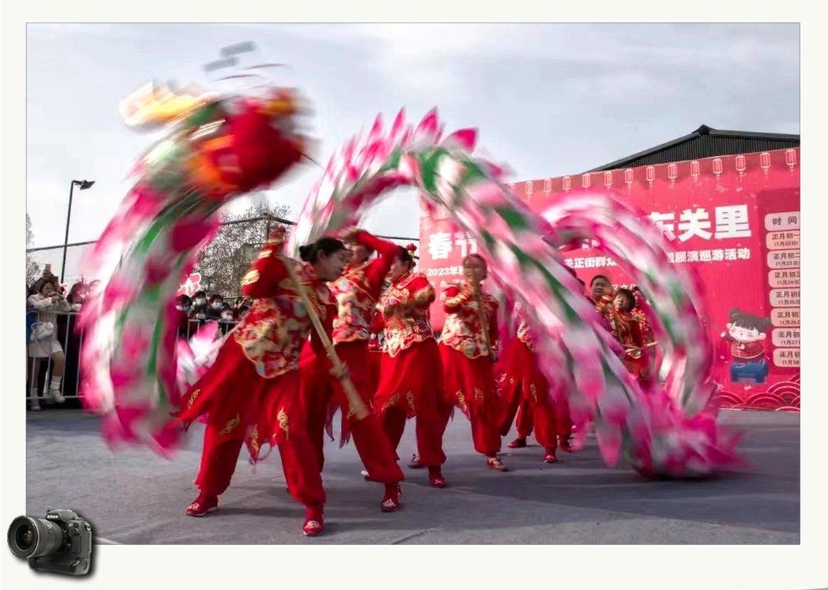 春节七天乐（2023031）