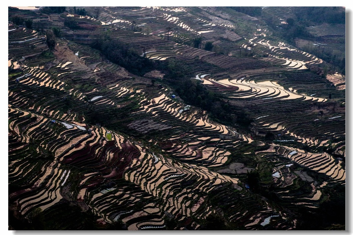 云南之旅——元阳坝达梯田（2）