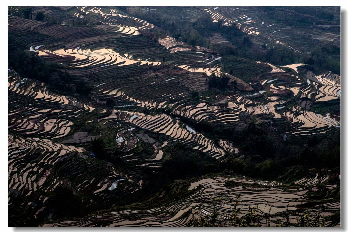 云南之旅——元阳坝达梯田（2）