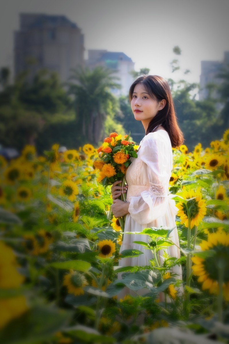 植物园向日葵旁