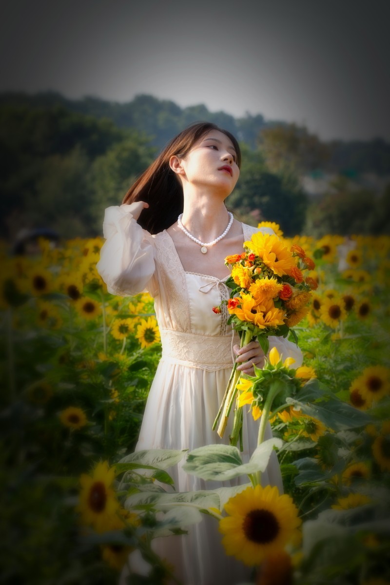 植物园向日葵旁