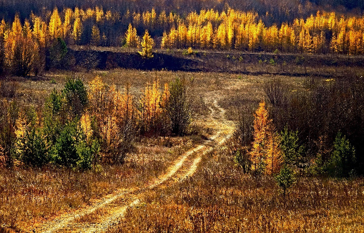 国庆跟团游#观音山风景区秋色