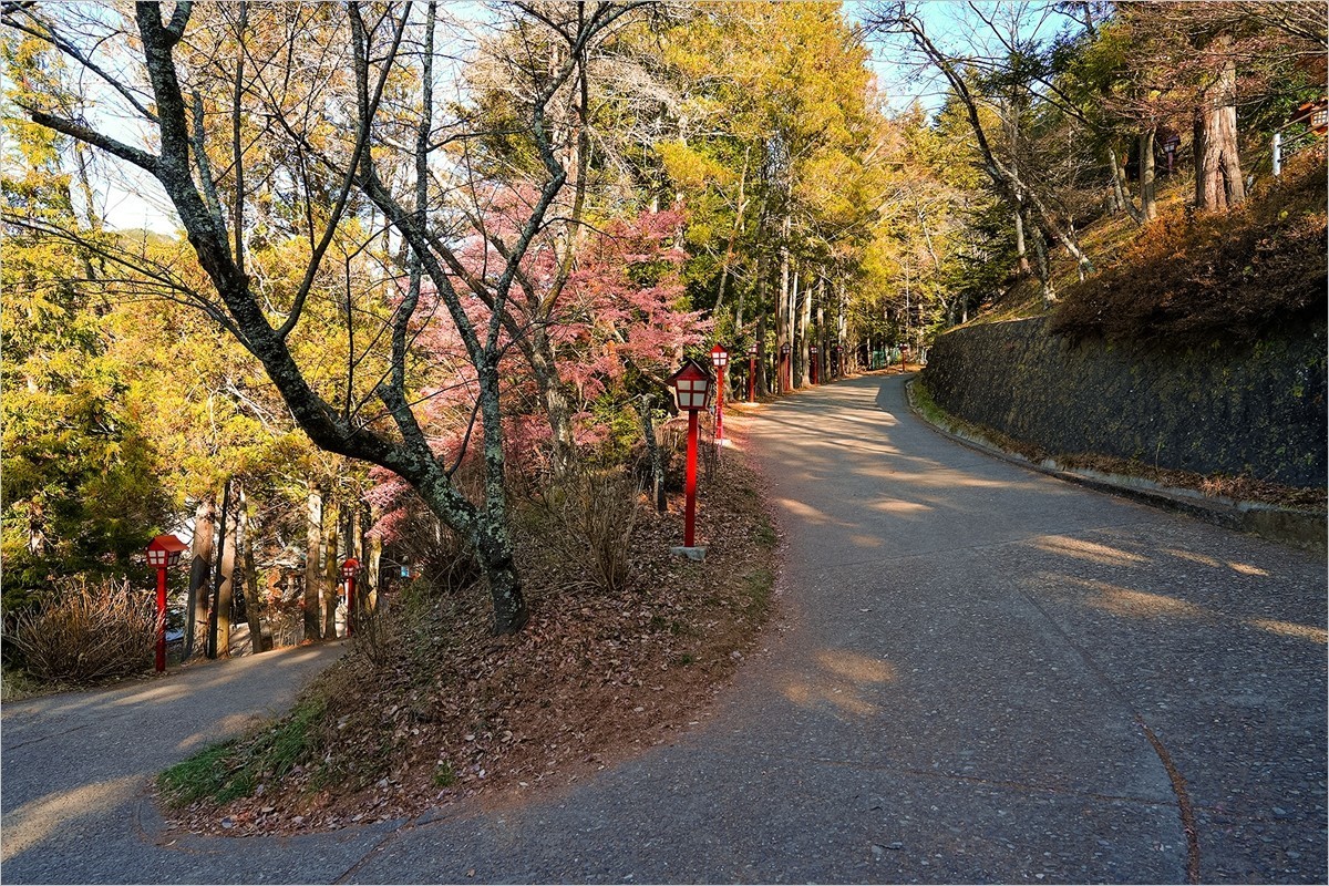 2025年第0111贴-富士山新仓山浅间纪实旅拍（0220）