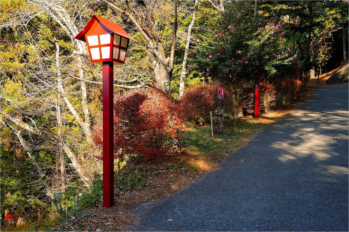 2025年第0111贴-富士山新仓山浅间纪实旅拍（0220）