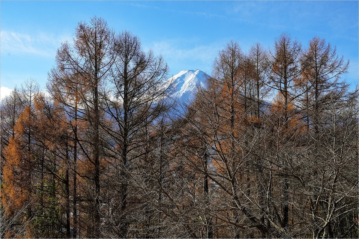 2025年第0111贴-富士山新仓山浅间纪实旅拍（0220）