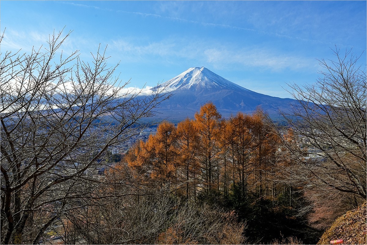 2025年第0111贴-富士山新仓山浅间纪实旅拍（0220）