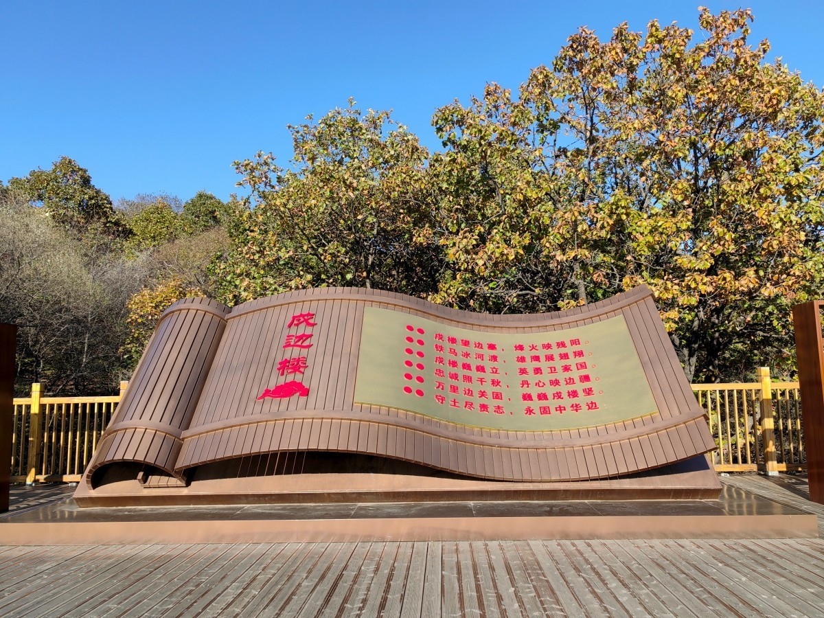 外出随拍（续258）.