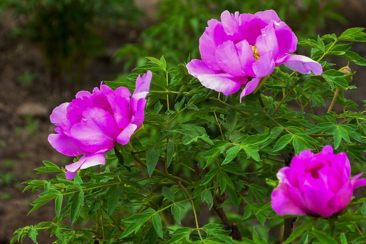 我只是把出去看到的随手记录下来（106）