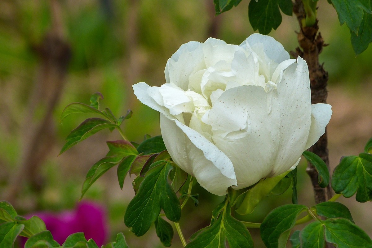 我只是把出去看到的随手记录下来（106）