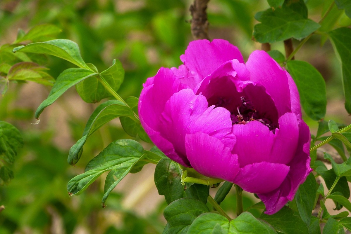 我只是把出去看到的随手记录下来（106）