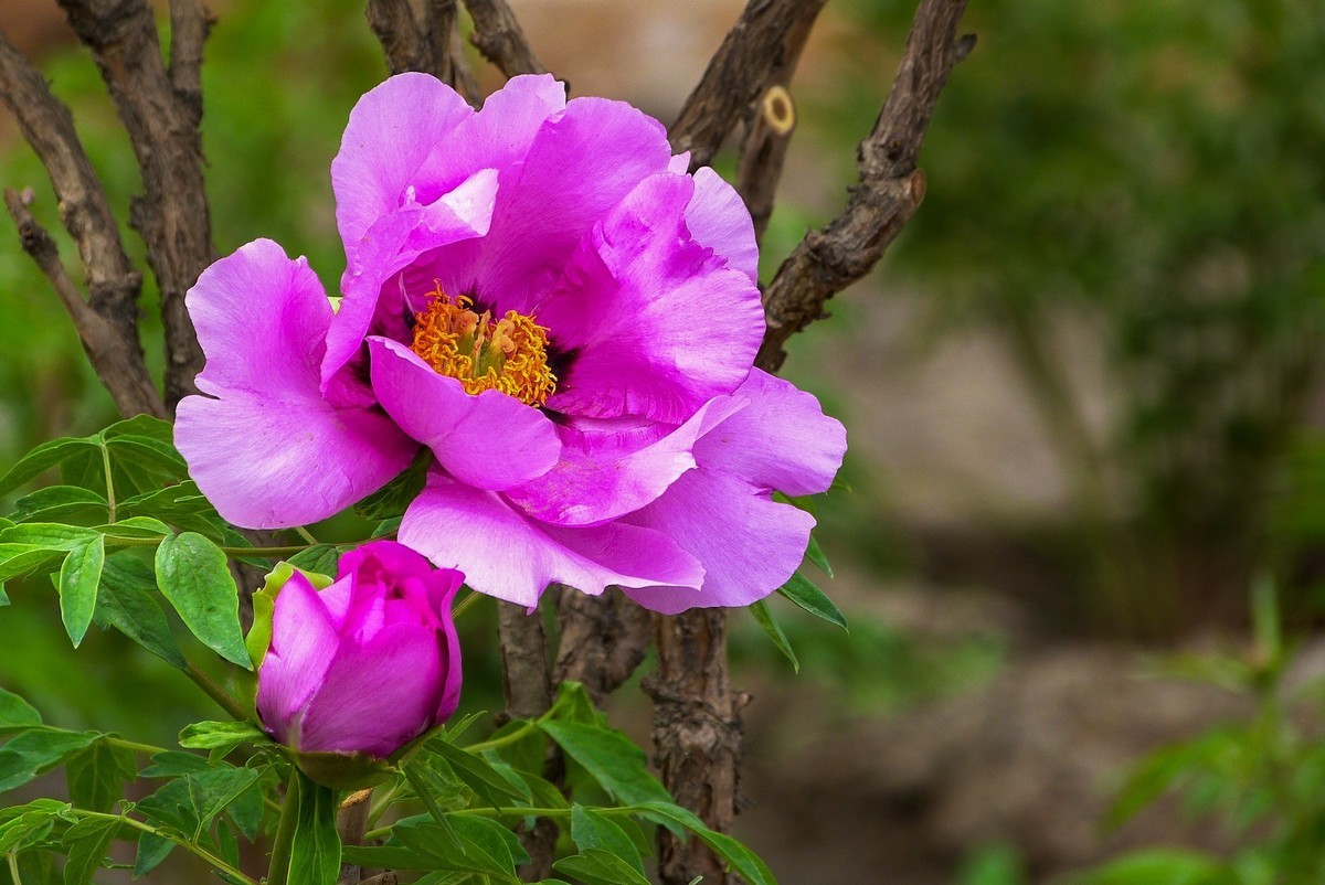 我只是把出去看到的随手记录下来（106）