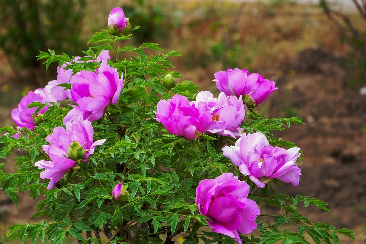 我只是把出去看到的随手记录下来（106）