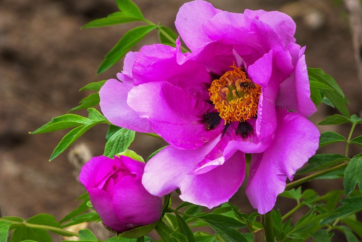 我只是把出去看到的随手记录下来（106）