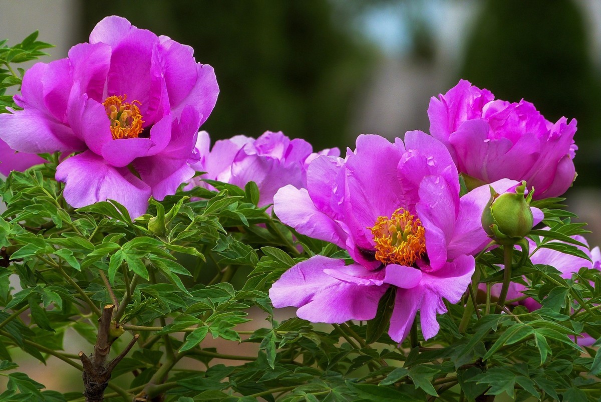 我只是把出去看到的随手记录下来（106）