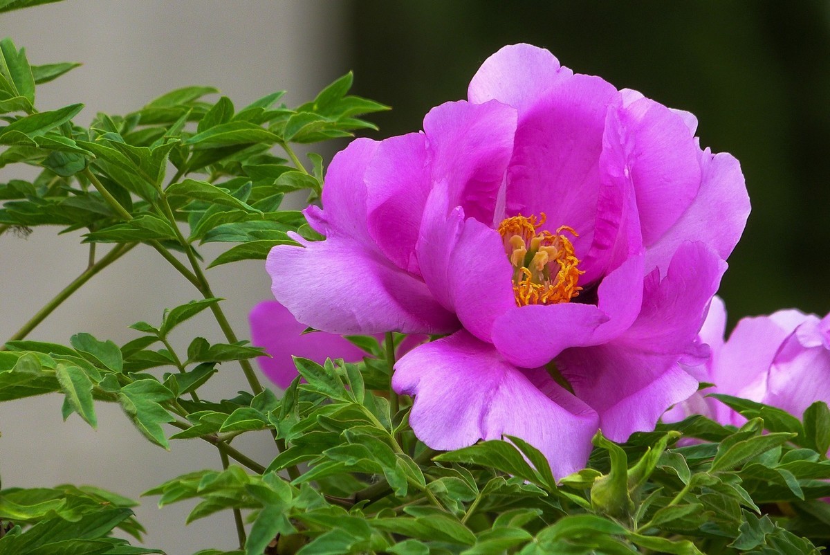 我只是把出去看到的随手记录下来（106）