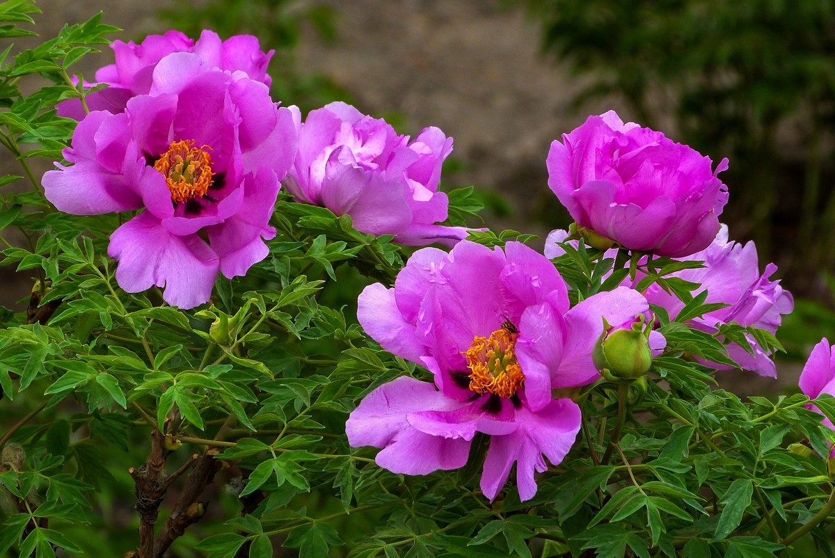 我只是把出去看到的随手记录下来（106）