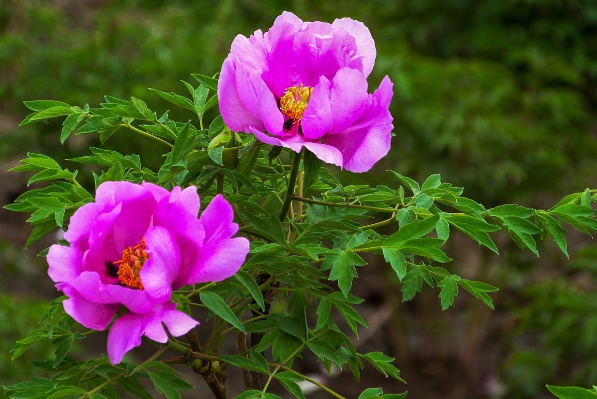 我只是把出去看到的随手记录下来（106）