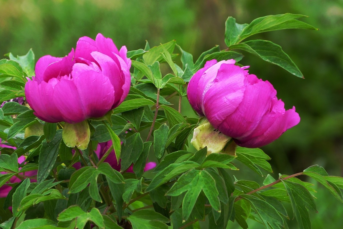 我只是把出去看到的随手记录下来（106）