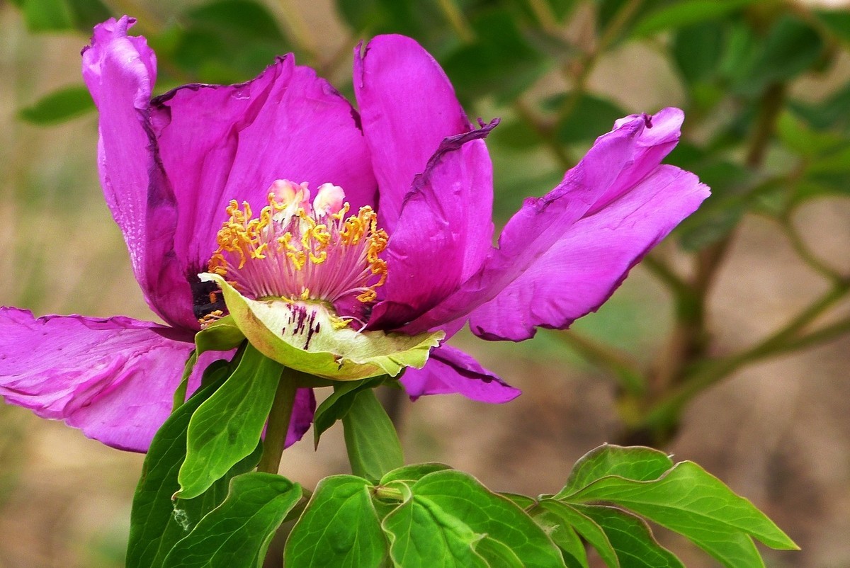 我只是把出去看到的随手记录下来（106）