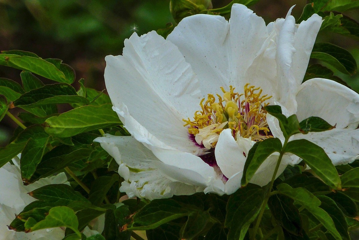 我只是把出去看到的随手记录下来（106）