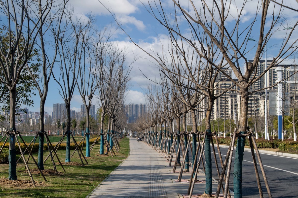 庐州印象（444）肥西工人文化宫