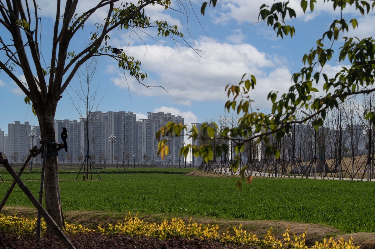 庐州印象（444）肥西工人文化宫