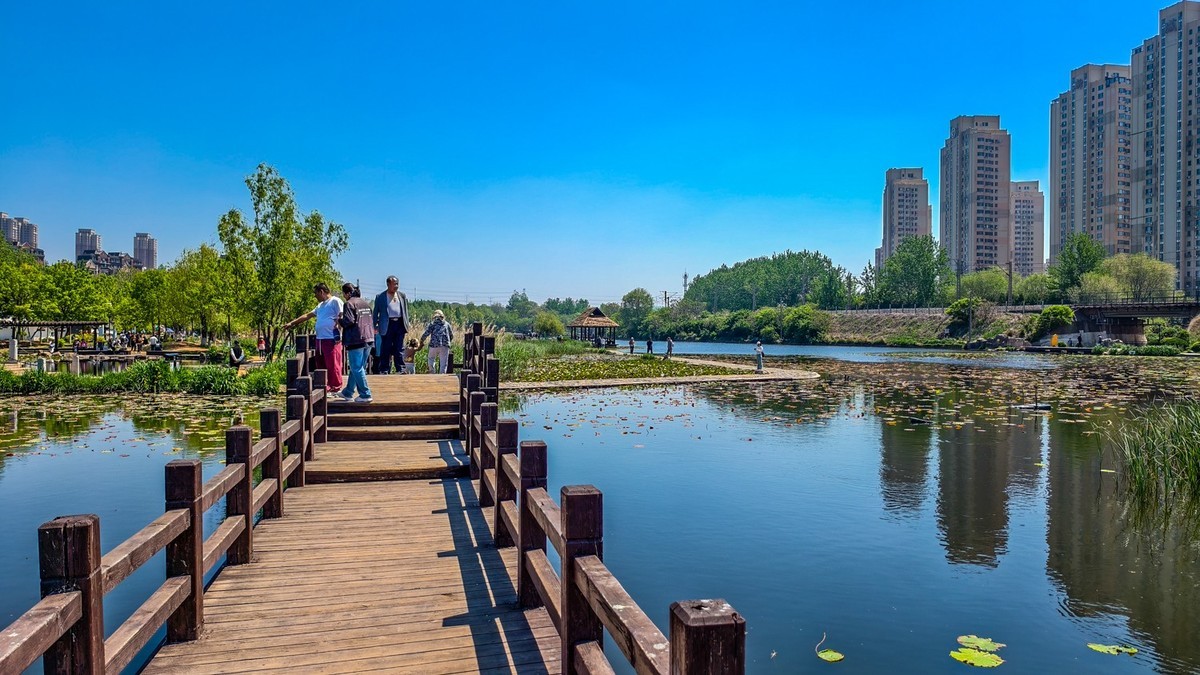 大 连 前 关 湿 地 （ 三 ）