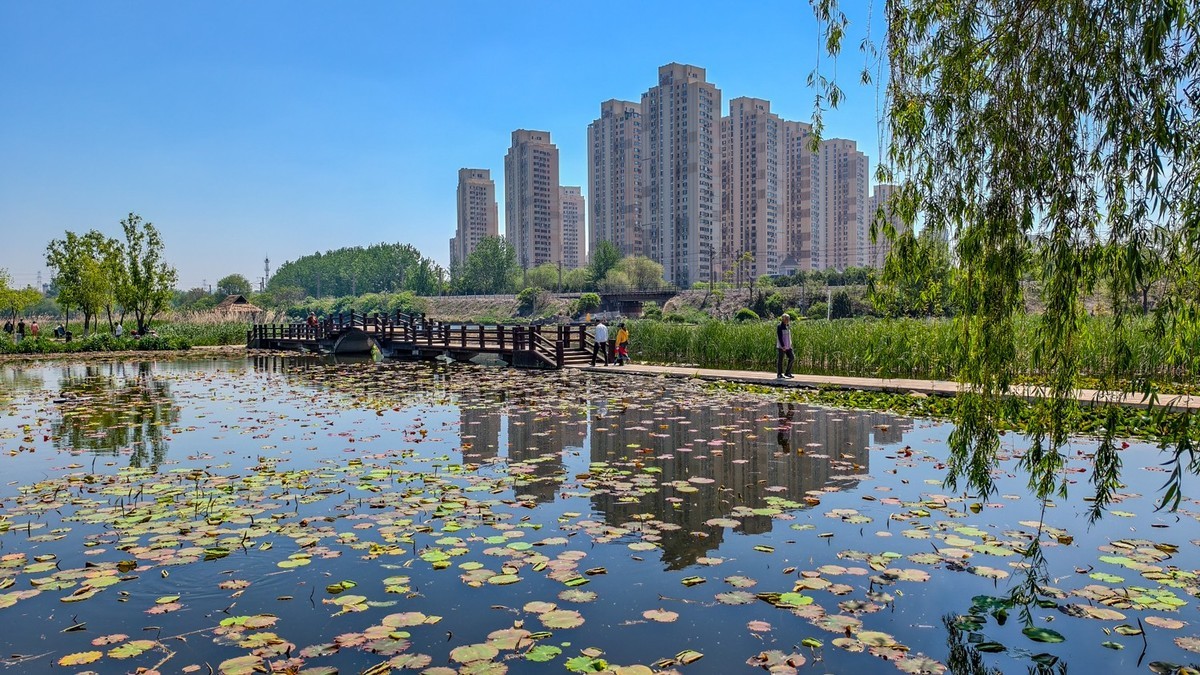 大 连 前 关 湿 地 （ 三 ）