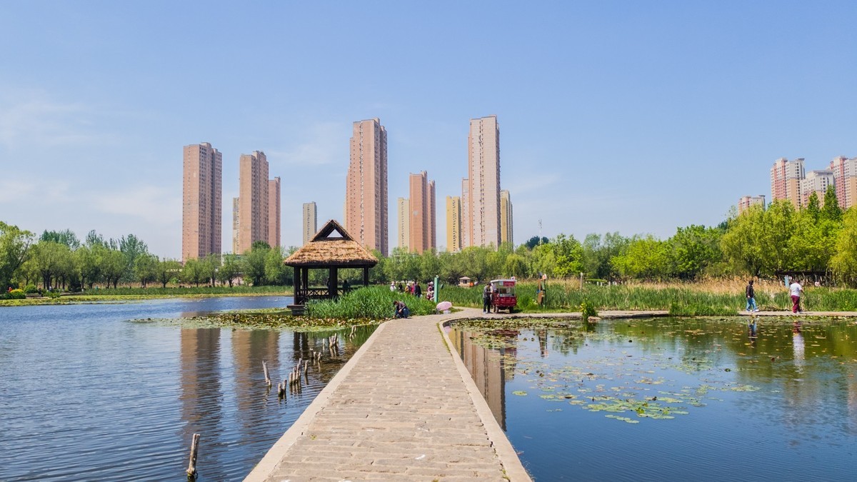 大 连 前 关 湿 地 （ 三 ）