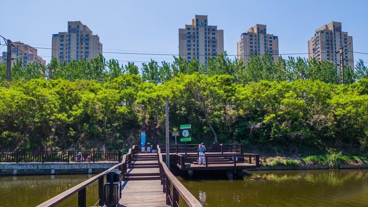 大 连 前 关 湿 地 （ 三 ）