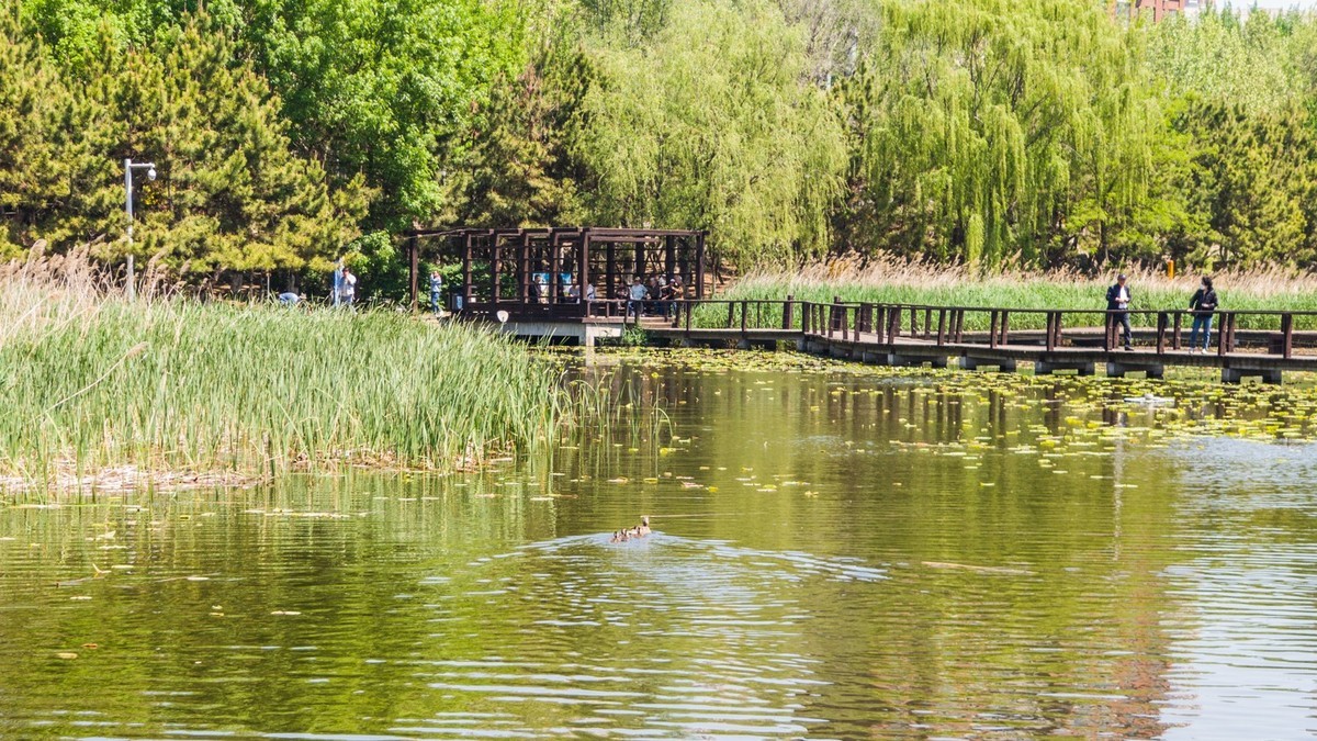 大 连 前 关 湿 地 （ 三 ）